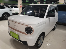吉利银河 2024款 熊猫mini 200km 龙腾PRO版