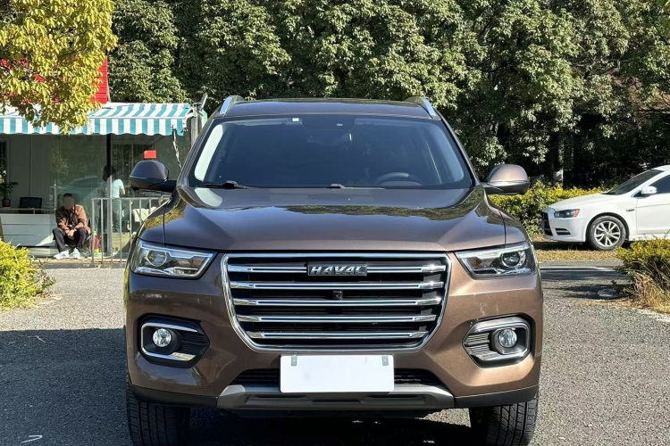 哈弗H6 2020款 1.5GDIT 自动铂金冠军版车身外观6004