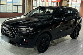 哈弗H6 2021款 国潮版 2.0GDIT 自动GT版