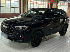 哈弗H6 2021款 国潮版 2.0GDIT 自动GT版