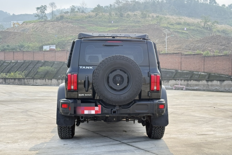 坦克300 2023款 2.0T 铁骑02车身外观6004