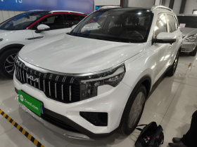 起亚 智跑 2021款 Ace 2.0L 精彩版