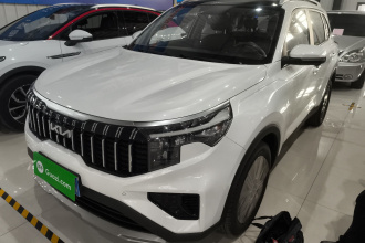 起亚 智跑 2021款 Ace 2.0L 精彩版