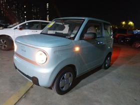 吉利银河 2024款 熊猫mini 200km 耐力熊