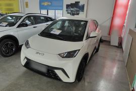 比亚迪 海鸥 2025款 305km 活力版