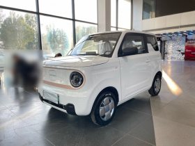 吉利银河 2024款 熊猫mini 200km 耐力熊