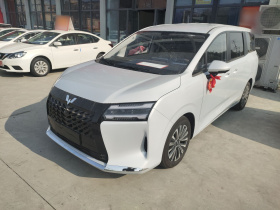 五菱汽车 星光730新能源 2025款 插混 125km 豪华型