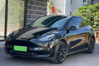 特斯拉 Model Y 2022款 后轮驱动版