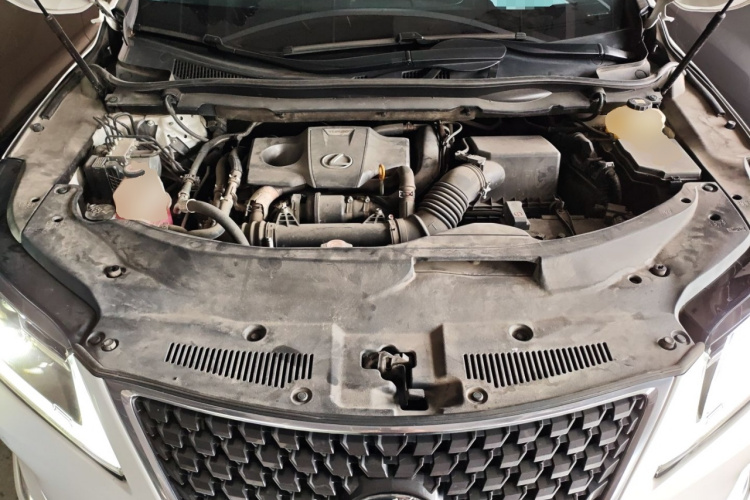 雷克萨斯RX 2020款 改款 300 两驱舒适版机舱底盘24