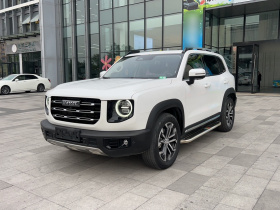 哈弗大狗 2022款 2.0T DCT两驱中华猎犬版