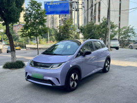 比亚迪 海豚 2023款 420km 时尚版