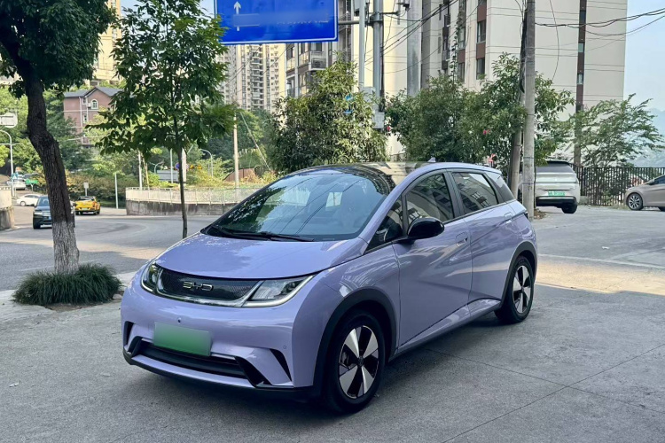 比亚迪 海豚 2023款 420km 时尚版车身外观1