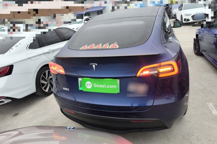 特斯拉 Model Y 2021款 Performance高性能全轮驱动版车身外观6