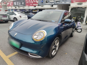 欧拉好猫 2021款 400km标准续航 维纳斯版 三元锂