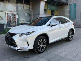 雷克萨斯RX 2020款 300 四驱典雅版 国VI