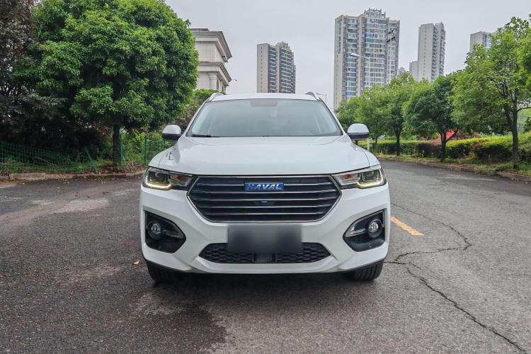 哈弗H6 2019款 蓝标 2.0GDIT 自动豪华智联版车身外观6001