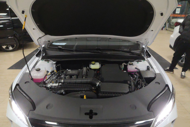 比亚迪 秦PLUS 2025款 DM-i 智驾版 128KM进取型局部细节24