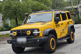 坦克300 2022款 2.0T 边境限定版