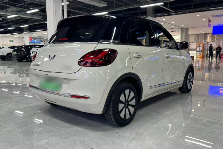 五菱汽车 五菱缤果 2023款 410km 灵犀尊享款车身外观6007