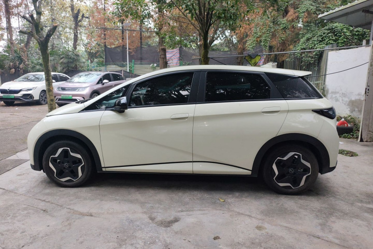 比亚迪 海豚 2021款 405km 时尚版车身外观6003