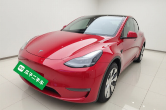 特斯拉 Model Y 2021款 长续航全轮驱动版 3D7