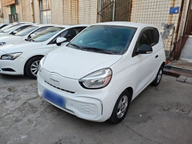 荣威 科莱威CLEVER 2021款 302km全能版