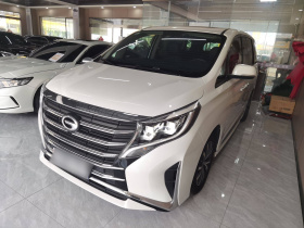 广汽传祺 传祺M8 2021款 领秀系列 390T 尊享版