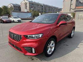 魏牌 VV5 2020款 1.5T 两驱颜先锋