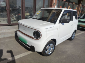 吉利银河 2024款 熊猫mini 200km 耐力熊