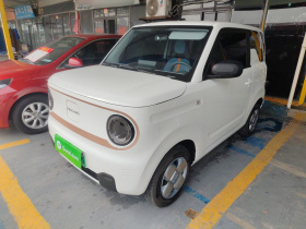 吉利银河 2024款 熊猫mini 200km 耐力熊