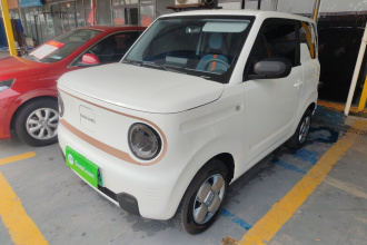 吉利银河 2024款 熊猫mini 200km 耐力熊