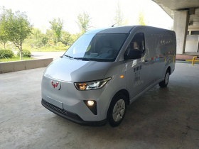 五菱汽车 五菱扬光 2024款 300km 舒适型封窗版 60kW