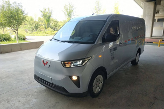 五菱汽车 五菱扬光 2024款 300km 舒适型封窗版 60kW