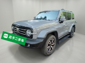 坦克300 2021款 城市版 2.0T 很有型