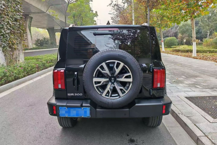 坦克300 2024款 2.0T 穿越者车身外观6005