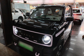 吉利银河 2025款 210km 熊猫骑士