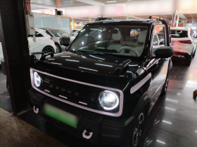 吉利银河 2025款 210km 熊猫骑士