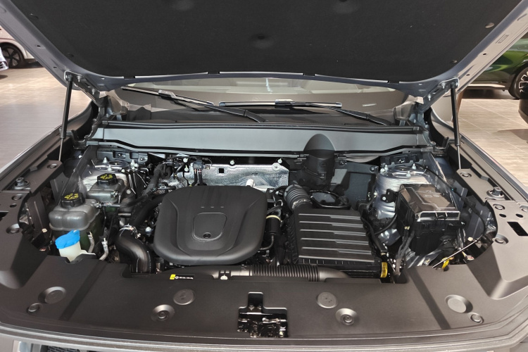 哈弗大狗 PLUS 新能源 2024款 Hi4 102km 潮电版Plus局部细节24