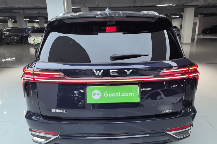 魏牌 蓝山 2025款 四驱 Max车身外观6