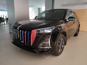 红旗HS5 2023款 2.0T 旗享Pro版