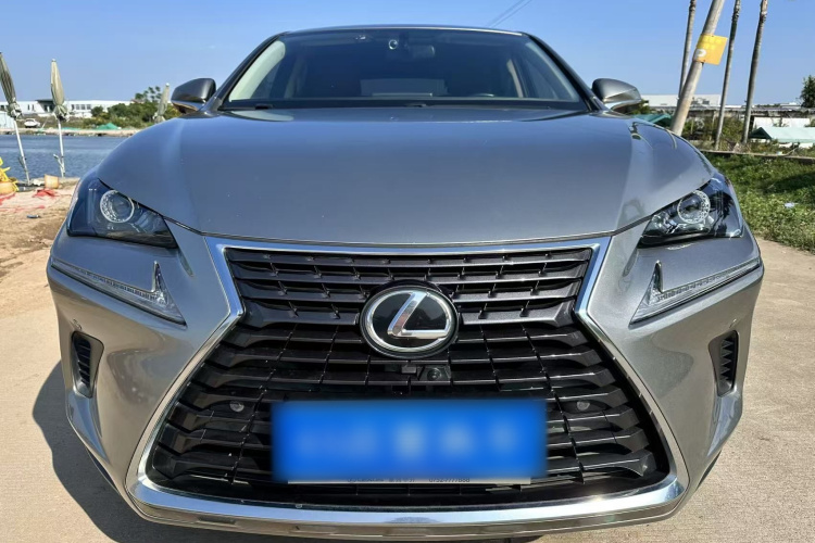 雷克萨斯NX 2020款 200 前驱 锋行版 国VI车身外观6004