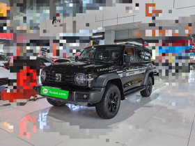 坦克300 2021款 越野版 2.0T 征服者