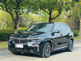 宝马X5(进口) 2020款 xDrive30i M运动套装