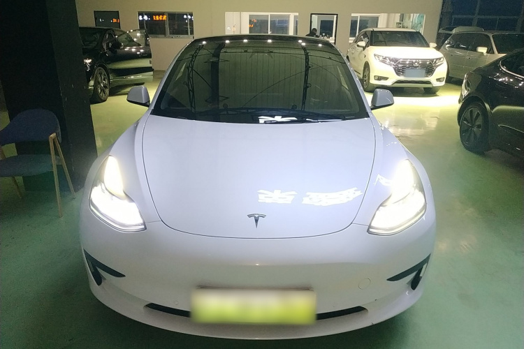 特斯拉 Model 3 2021款 标准续航后驱升级版车身外观6001