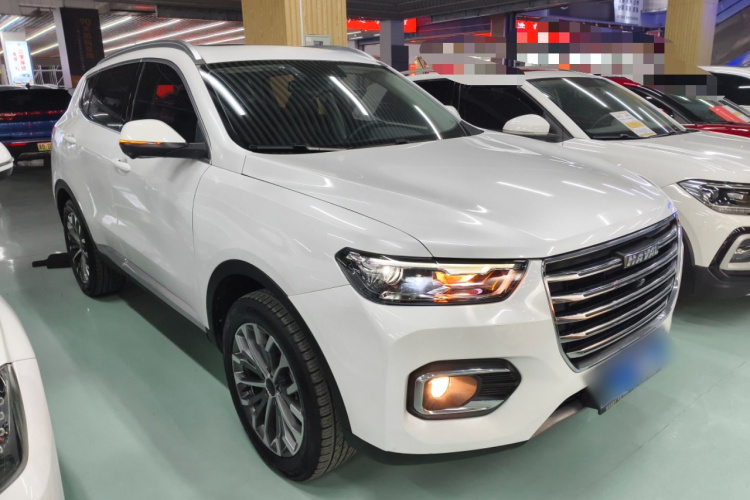 哈弗H6 2020款 1.5GDIT 自动铂金冠军版车身外观6002