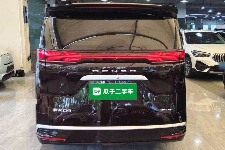 腾势D9 2024款 PIONEER 四座创领版车身外观6