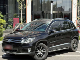 大众 途观 2015款 2.0TSI 自动四驱豪华版