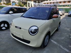 长安启源 长安Lumin 2023款 301km 蜜沁款