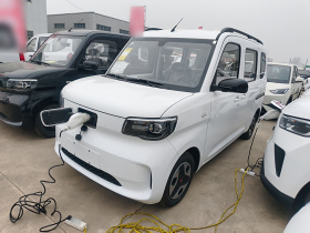 五菱汽车 五菱之光新能源 2025款 305km 进取型