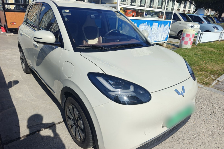 五菱汽车 五菱缤果 2024款 333km 悦享款车身外观3